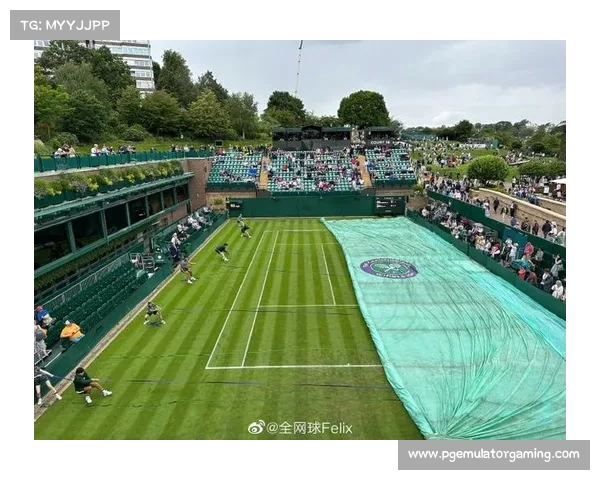 温网「雨布魔法」：百年草地的守护者