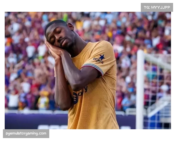 厄瓜多尔防守体系坚固 12场比赛仅失2球